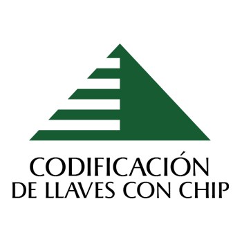 LLAVES CON CHIP